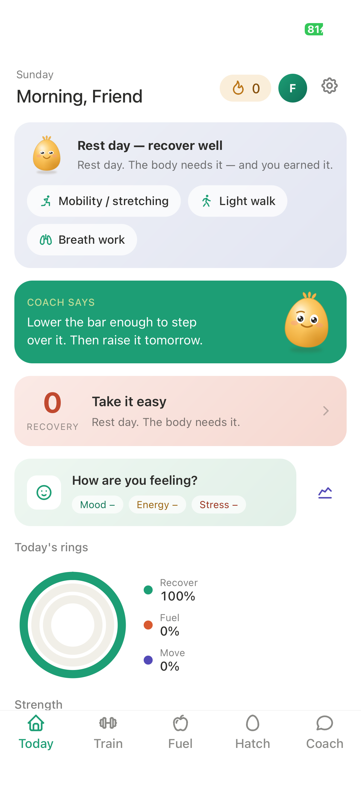 The Hatch home screen showing today’s training rings and workout